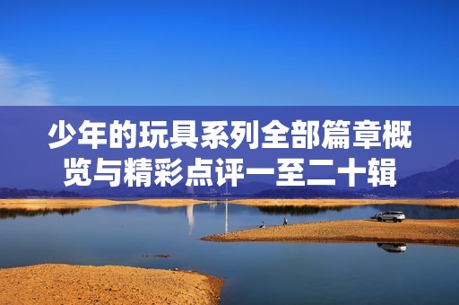 少年的玩具系列全部篇章概览与精彩点评一至二十辑