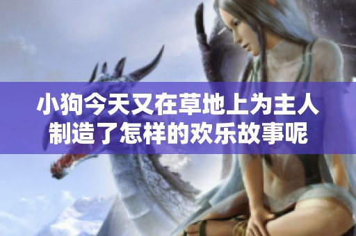 小狗今天又在草地上为主人制造了怎样的欢乐故事呢