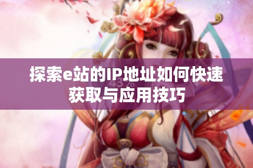 探索e站的IP地址如何快速获取与应用技巧