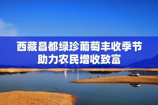 西藏昌都绿珍葡萄丰收季节助力农民增收致富
