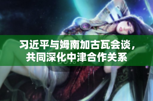 习近平与姆南加古瓦会谈，共同深化中津合作关系