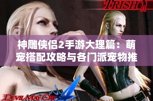 神雕侠侣2手游大理篇：萌宠搭配攻略与各门派宠物推荐