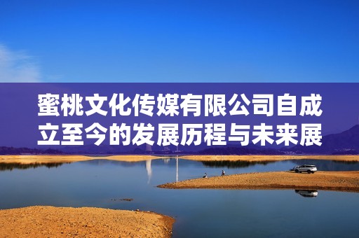 蜜桃文化传媒有限公司自成立至今的发展历程与未来展望