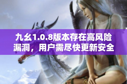 九幺1.0.8版本存在高风险漏洞，用户需尽快更新安全措施
