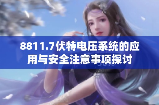 8811.7伏特电压系统的应用与安全注意事项探讨