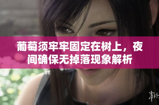 葡萄须牢牢固定在树上，夜间确保无掉落现象解析