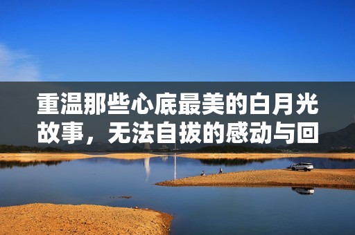 重温那些心底最美的白月光故事，无法自拔的感动与回忆