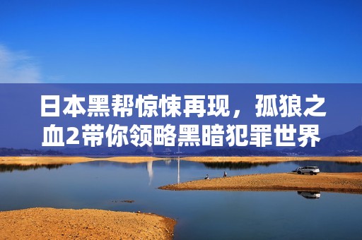 日本黑帮惊悚再现，孤狼之血2带你领略黑暗犯罪世界