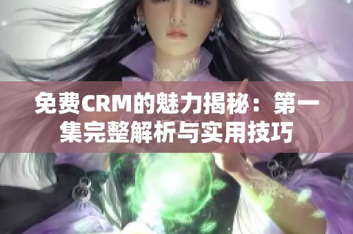 免费CRM的魅力揭秘：第一集完整解析与实用技巧