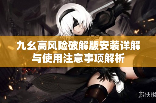 九幺高风险破解版安装详解与使用注意事项解析