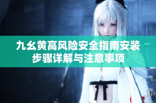 九幺黄高风险安全指南安装步骤详解与注意事项
