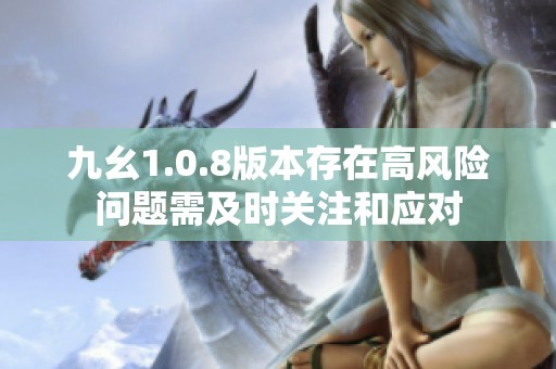 九幺1.0.8版本存在高风险问题需及时关注和应对