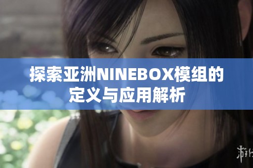 探索亚洲NINEBOX模组的定义与应用解析