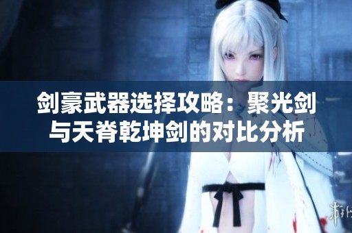 剑豪武器选择攻略：聚光剑与天脊乾坤剑的对比分析