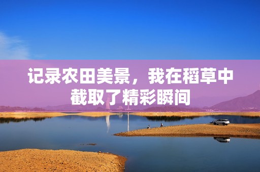 记录农田美景，我在稻草中截取了精彩瞬间
