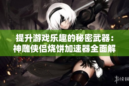 提升游戏乐趣的秘密武器：神雕侠侣烧饼加速器全面解析