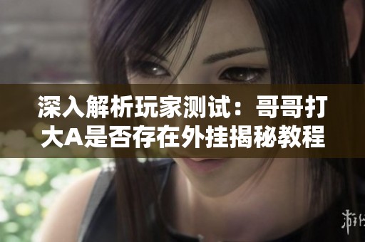 深入解析玩家测试：哥哥打大A是否存在外挂揭秘教程