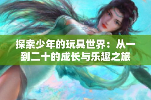 探索少年的玩具世界：从一到二十的成长与乐趣之旅