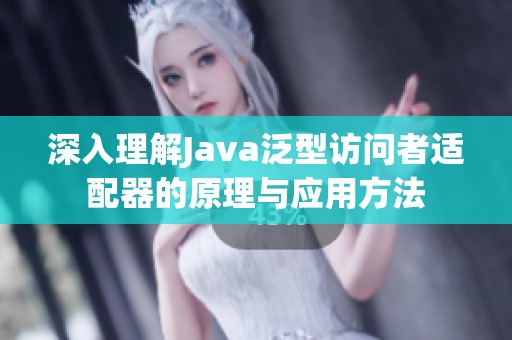 深入理解Java泛型访问者适配器的原理与应用方法