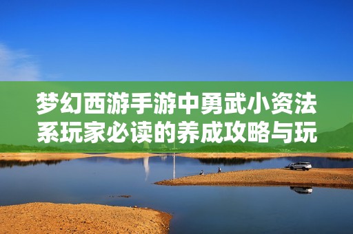 梦幻西游手游中勇武小资法系玩家必读的养成攻略与玩法解析