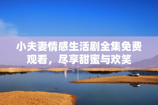 小夫妻情感生活剧全集免费观看，尽享甜蜜与欢笑