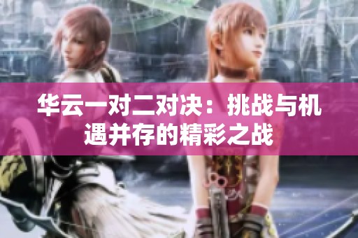 华云一对二对决：挑战与机遇并存的精彩之战