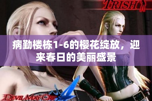 病勤楼栋1-6的樱花绽放，迎来春日的美丽盛景