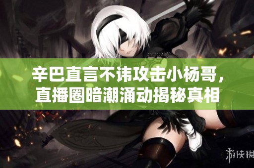 辛巴直言不讳攻击小杨哥，直播圈暗潮涌动揭秘真相