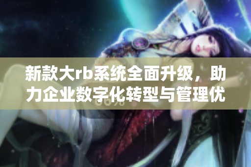 新款大rb系统全面升级，助力企业数字化转型与管理优化