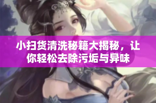 小扫货清洗秘籍大揭秘，让你轻松去除污垢与异味