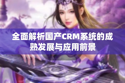 全面解析国产CRM系统的成熟发展与应用前景