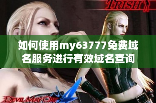 如何使用my63777免费域名服务进行有效域名查询
