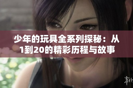 少年的玩具全系列探秘：从1到20的精彩历程与故事