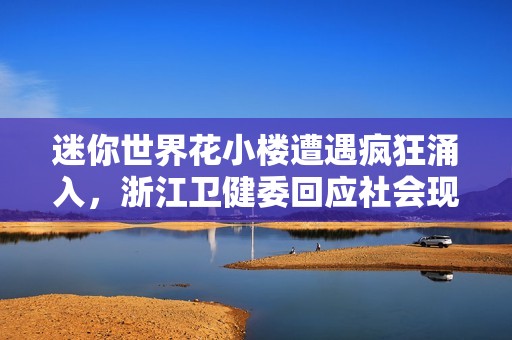迷你世界花小楼遭遇疯狂涌入，浙江卫健委回应社会现象