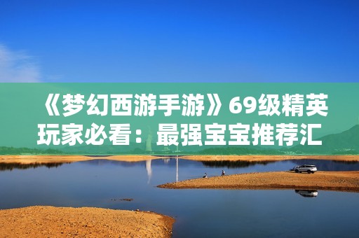 《梦幻西游手游》69级精英玩家必看：最强宝宝推荐汇总!