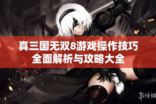 真三国无双8游戏操作技巧全面解析与攻略大全