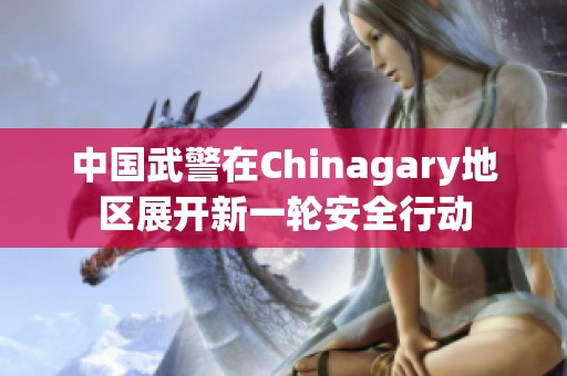 中国武警在Chinagary地区展开新一轮安全行动