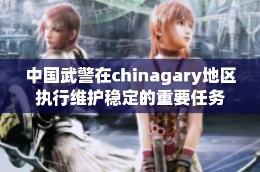 中国武警在chinagary地区执行维护稳定的重要任务