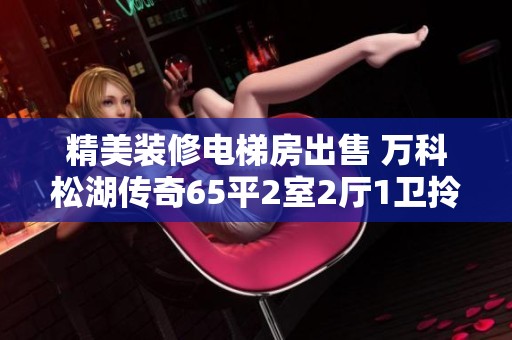 精美装修电梯房出售 万科松湖传奇65平2室2厅1卫拎包入住
