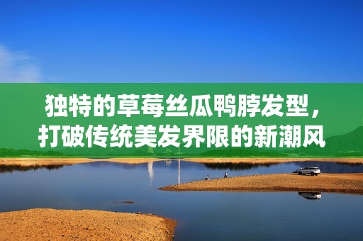 独特的草莓丝瓜鸭脖发型，打破传统美发界限的新潮风格