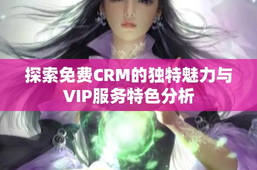 探索免费CRM的独特魅力与VIP服务特色分析