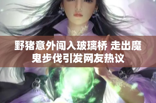 野猪意外闯入玻璃桥 走出魔鬼步伐引发网友热议