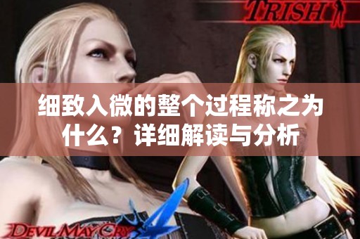 细致入微的整个过程称之为什么？详细解读与分析