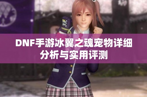 DNF手游冰翼之魂宠物详细分析与实用评测