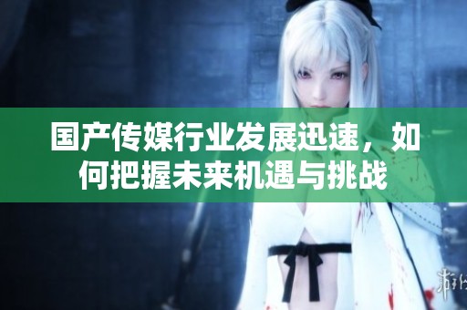 国产传媒行业发展迅速，如何把握未来机遇与挑战
