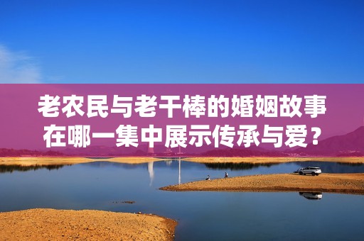 老农民与老干棒的婚姻故事在哪一集中展示传承与爱？