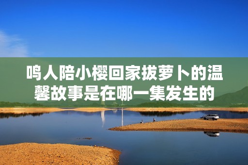 鸣人陪小樱回家拔萝卜的温馨故事是在哪一集发生的