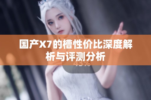 国产X7的槽性价比深度解析与评测分析