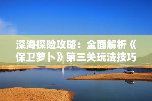 深海探险攻略：全面解析《保卫萝卜》第三关玩法技巧与策略