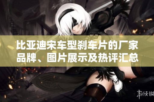比亚迪宋车型刹车片的厂家品牌、图片展示及热评汇总